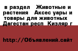 в раздел : Животные и растения » Аксесcуары и товары для животных . Дагестан респ.,Кизляр г.